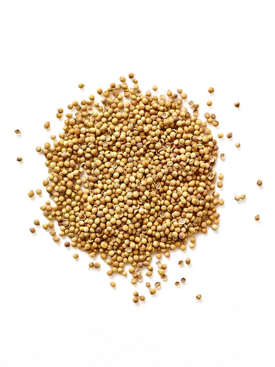 Coriander Seeds